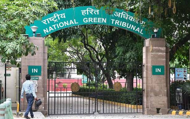 NGT urges Centre to regulate groundwater use in Cricket fields