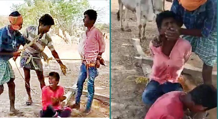 Shocking: Minor boys thrashed, fed cow dung for stealing mangoes from an orchard