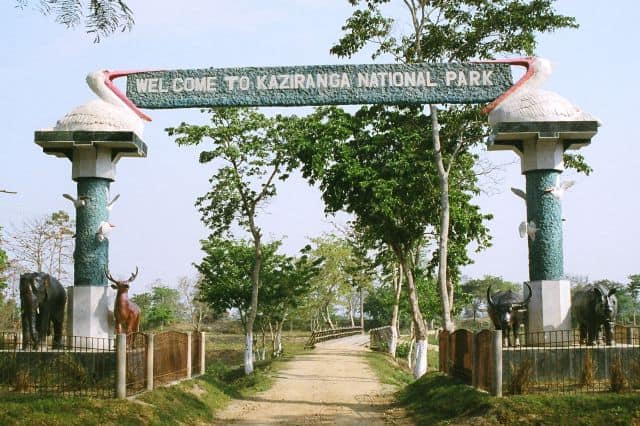 Assam: 3 poachers arrested near Kaziranga National Park