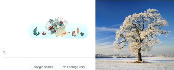 Google celebrates winter solstice with a cute hedgehog doodle
