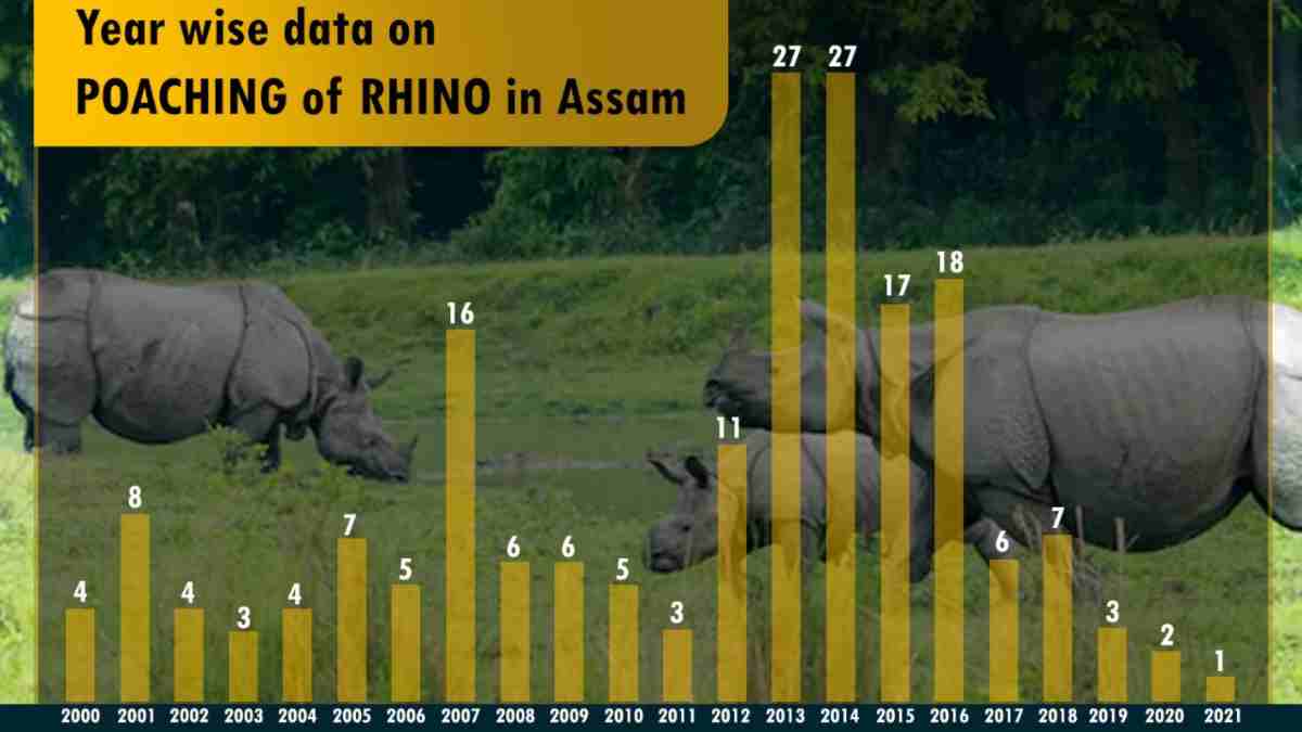 Assam earns a milestone, records lowest rhino poaching rate in last 21 years 