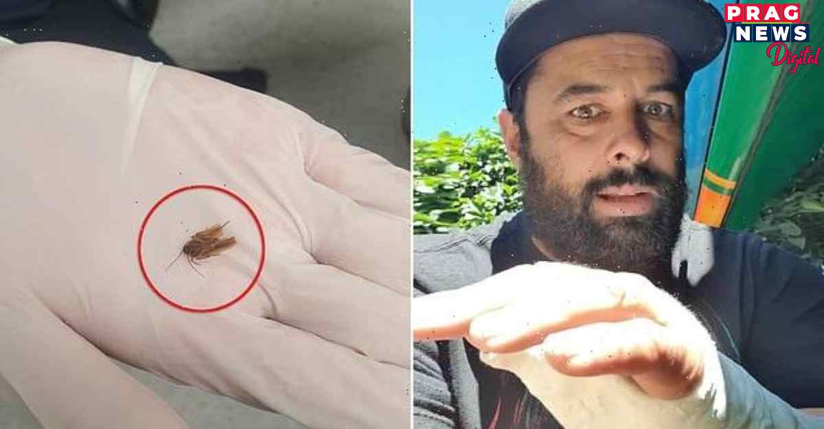 Weird: Man thinks his ear is blocked, upon scratching finds a cockroach inside