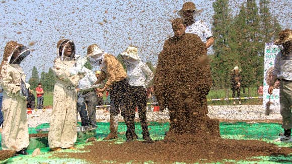 Man covers his whole body with bees to set a world record