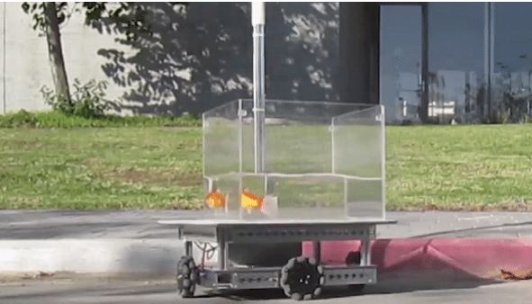 Viral video: Goldfish drives ‘water-filled car’