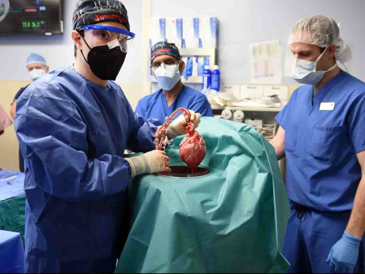 Scientific breakthrough: Man gets genetically altered pig's heart during surgery