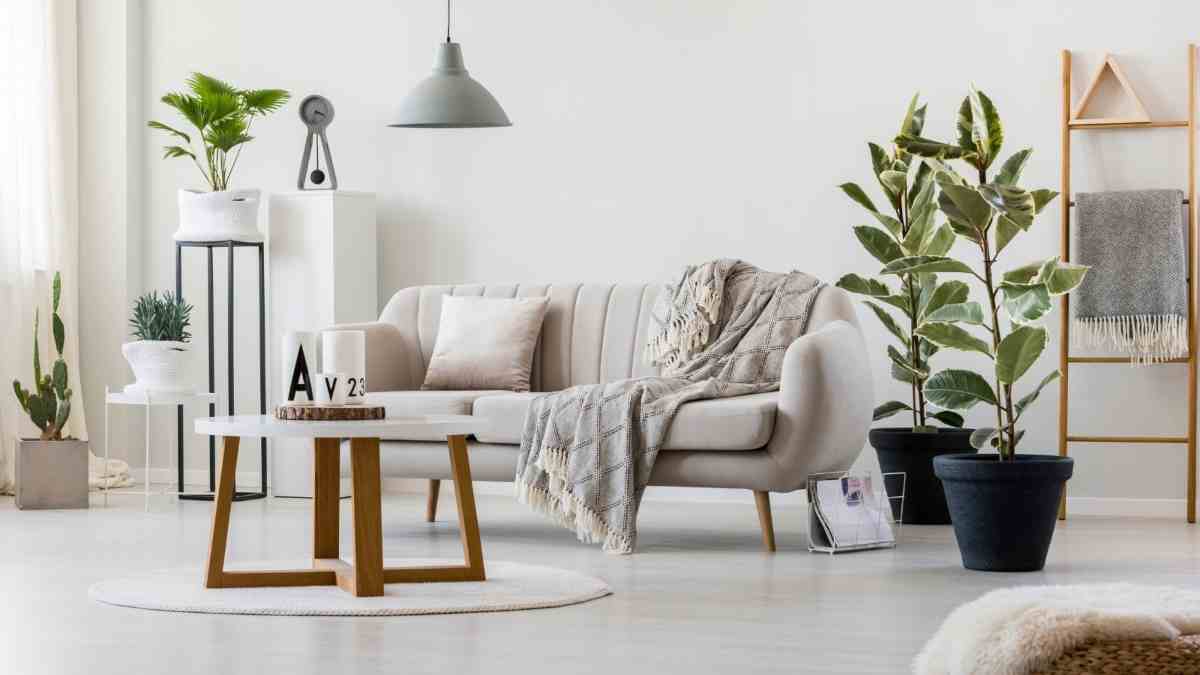 5 home décor ideas that can make any place look better