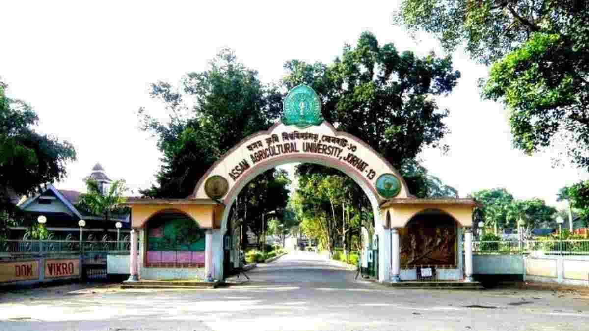 Assam Agricultural University Recruitment 2022: Apply for 55 Posts