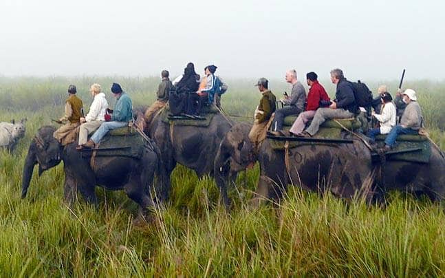 Good News! Kaziranga National Park Breaks Previous Tourists Records