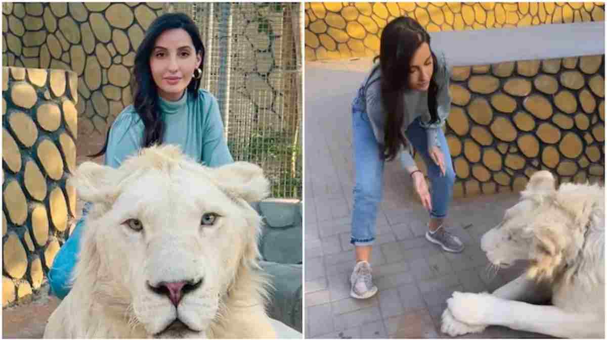Nora Fatehi leaves the internet in shock, shows how to feed lions