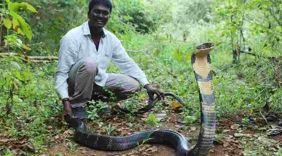 Kerala renowned snake catcher Vava Suresh bitten by cobra; condition critical