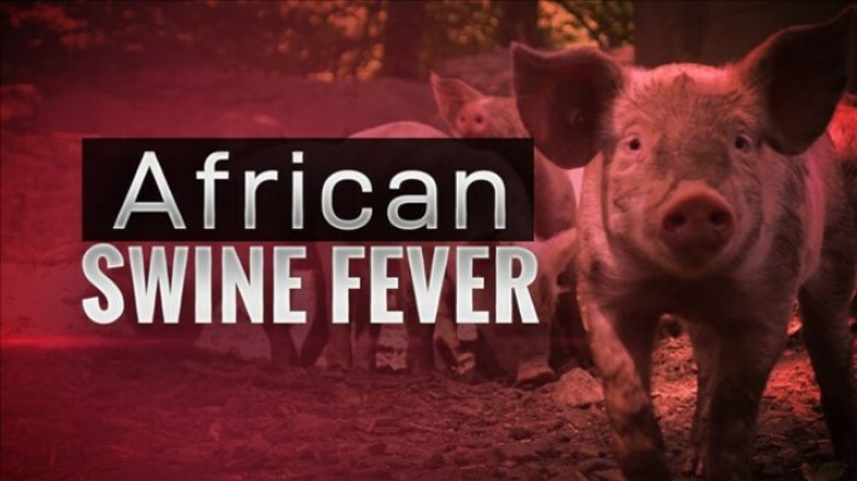 African Swine Fever (ASF) have been reported in Assam and in other parts of the NE