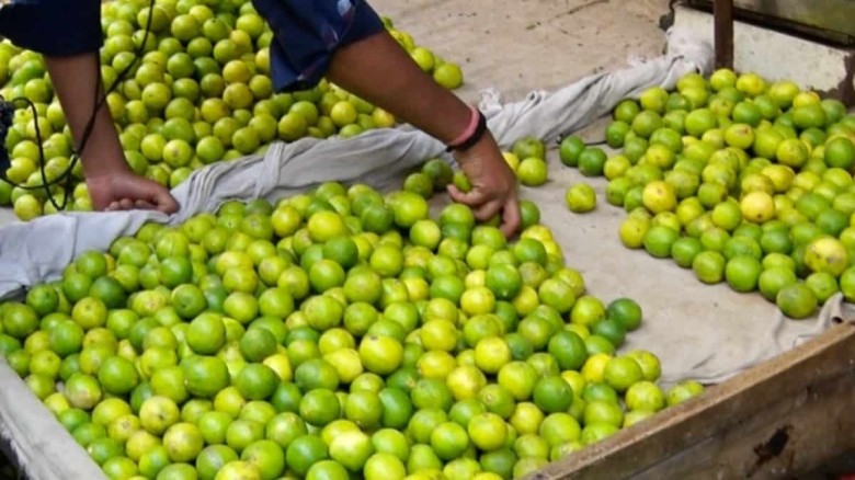Amid price rise, thieves steal 60 kg lemons from UP godown