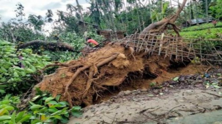 Assam: 8 killed, over 20,000 affected due to heavy rainfall, severe storm