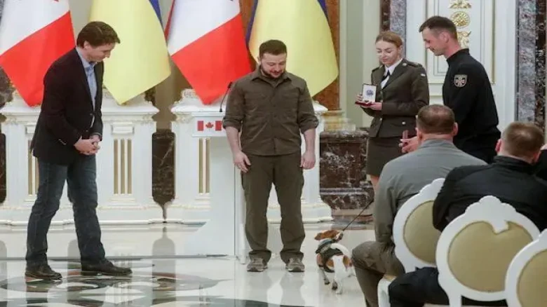 Bomb-sniffing dog 'Patron' awarded by Zelensky