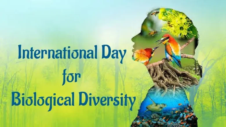 International Biodiversity Day 2022: Things You Should Know
