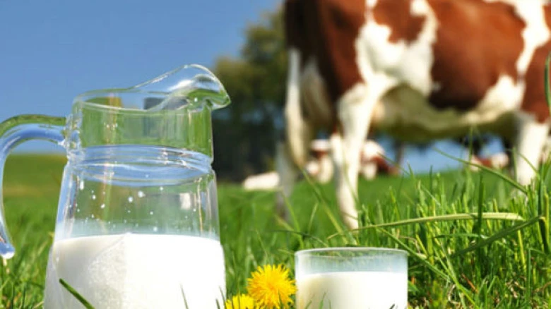 World Milk Day 2022: Why do we celebrate World Milk Day? Check here