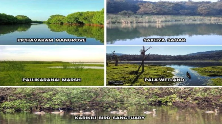 With five wetlands receiving 'international importance' designation, India now has 54 Ramsar sites