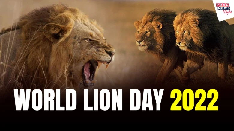 World Lion Day 2022: Date, History & Importance Aimed At Conserving 'King Of The Jungle'