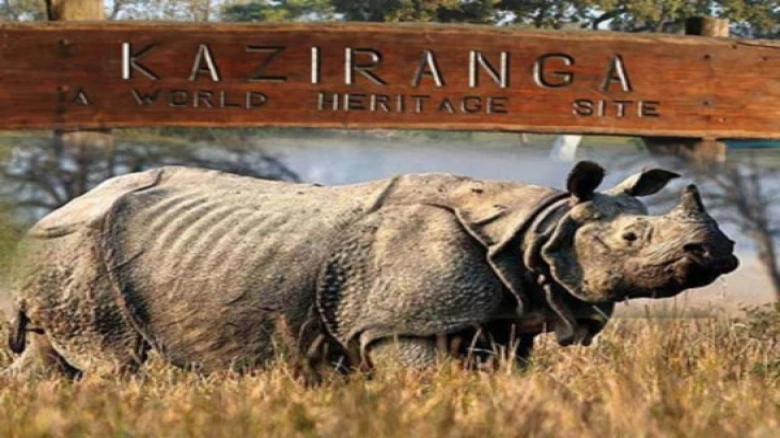 The Kaziranga National Park partially reopened for tourism