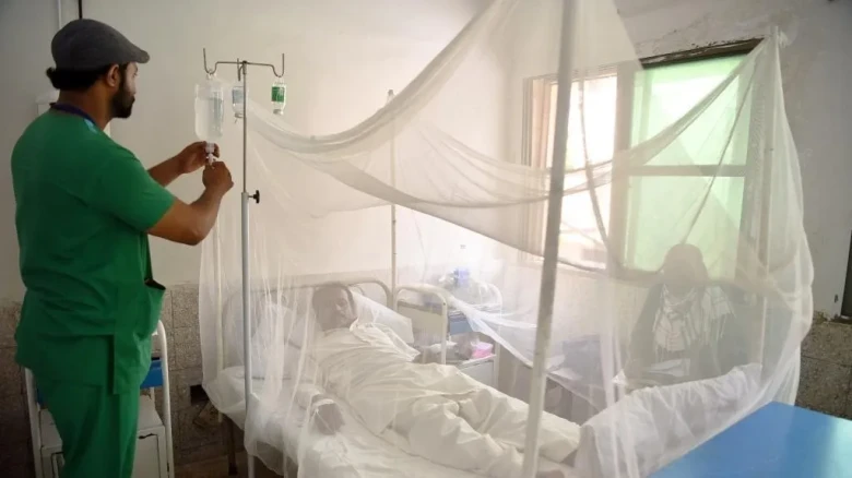Pakistan to purchase 6.2 Mn Mosquito Nets from India to Ward Off Dengue, Malaria after Flood Fury