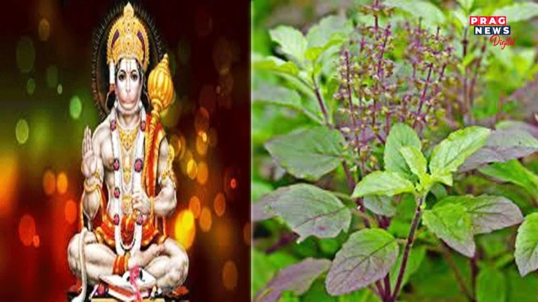 মঙলবাৰে বজৰংগবলীক কিয় তুলসী আগবঢ়োৱা হয় ? পঢ়ক মা সীতাৰ লগত জড়িত এক আমোদজনক কাহিনী