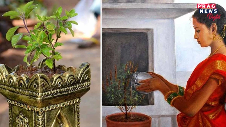 ভুলতো এই দুটা দিনত তুলসীত পানী আগবঢ়াব নালাগে, ঘৰত দৰিদ্ৰতাই প্ৰাধান্য পাব