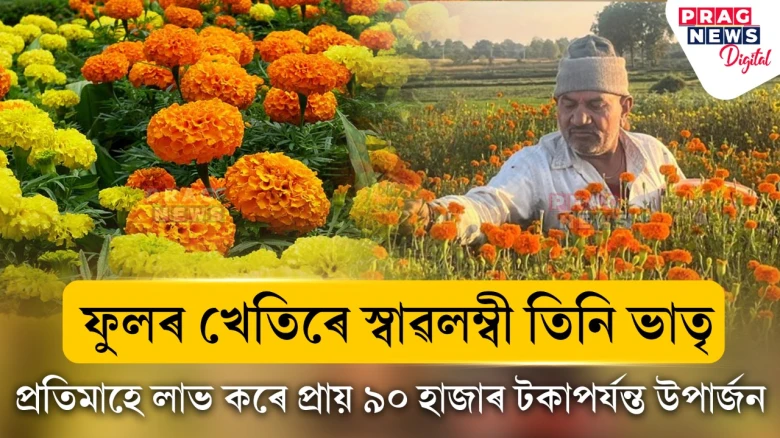 ফুলৰ খেতিৰে স্বাৱলম্বী তিনি ভাতৃ,  প্ৰতিমাহে লাভ কৰে প্ৰায় ৯০ হাজাৰ টকাপৰ্যন্ত উপাৰ্জন