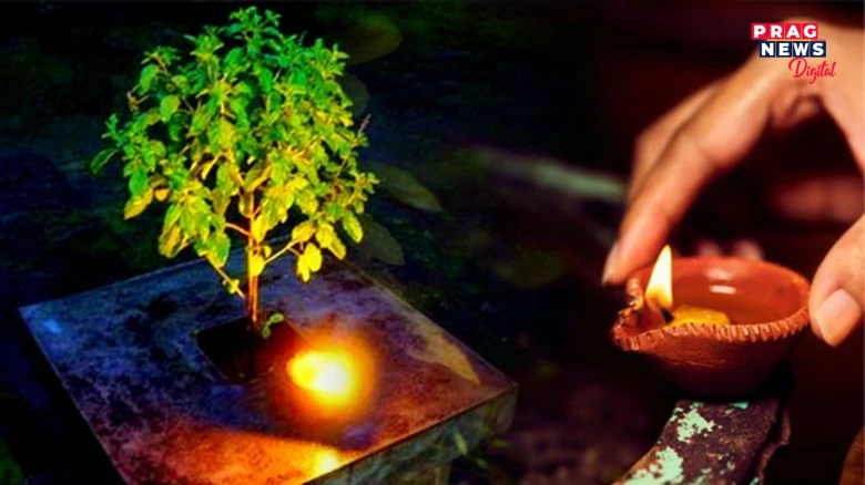 তুলসীৰ তলত বন্তি দিওঁতে কৰক এই সৰু কামটো: এই প্ৰতিকাৰে আপোনাক কোটিপতি কৰি তুলিব