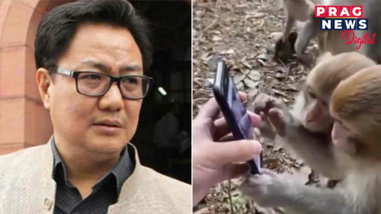 ডিজিটেল ভাৰত! মোবাইলত ফোনত ভিডিঅ’ চোৱাত মগ্ন বান্দৰৰ জাক, কেন্দ্ৰীয় আইন মন্ত্ৰীয়ে শ্বেয়াৰ   কৰিলে ভিডিঅ’