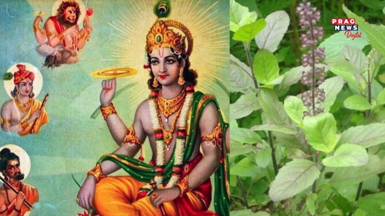 জয়া একাদশী: আজি তুলসীৰ ৩টা পাতেৰে এই প্ৰতিকাৰ কৰক, মা লক্ষ্মী আকৰ্ষিত হ'ব, টকাৰ অভাৱ নোহোৱা হ'ব