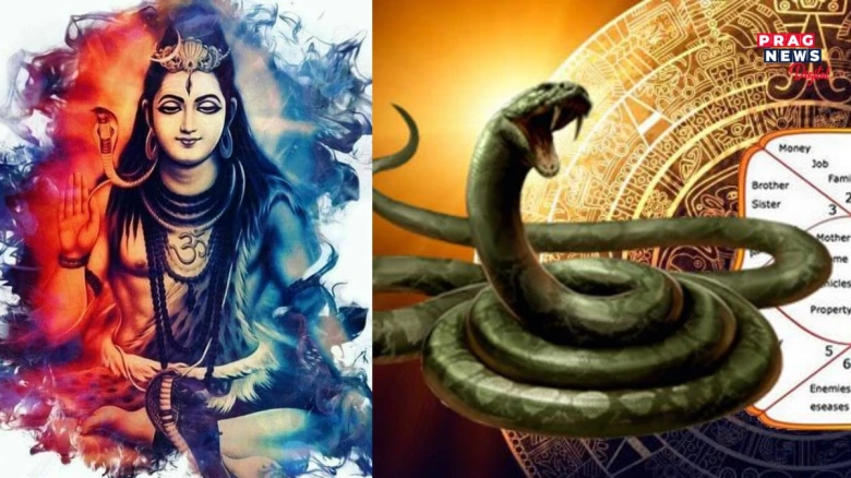 কাল সৰ্প দোষঃ মহাশিৱৰাত্ৰিত কালসৰ্প দোষৰ পৰা মুক্ত হ'ব বিচাৰে নেকি? মাত্ৰ এই সহজ প্ৰতিকাৰ কৰক