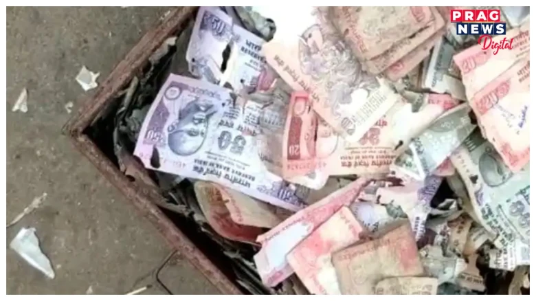 উঁইয়ে খালে বেংকত থোৱা লাখ লাখ টকাৰ নোট! হতভম্ব হৈ পৰিল পাঞ্জাৱ নেচনেল বেংকৰ গ্ৰাহক, ক’ত?