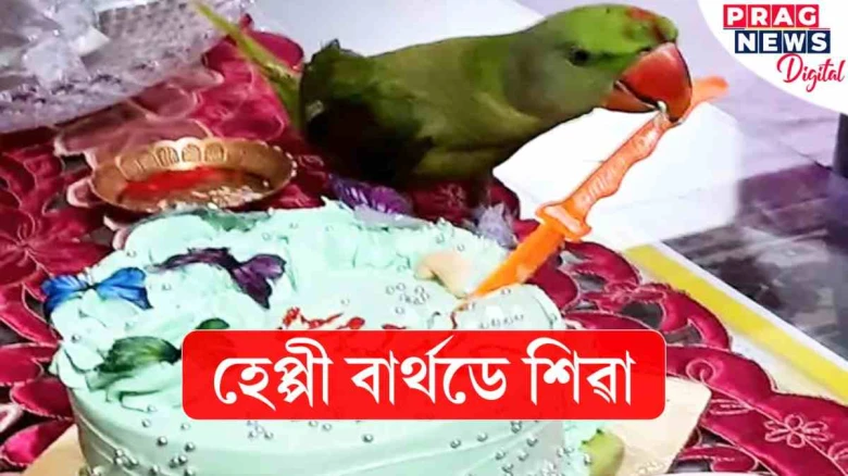 নিজে কেক কাটি ভাটৌৱে পালন কৰিলে এবছৰীয়া জন্মদিন! ভিডিঅ' ভাইৰেল