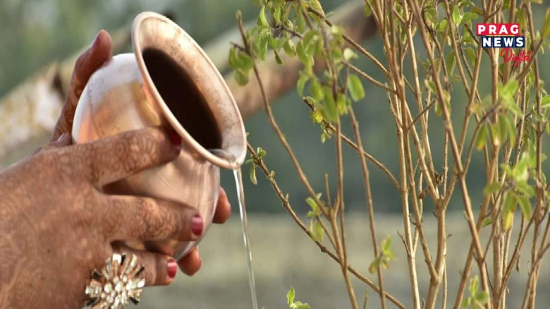 এই ২দিনত কেতিয়াও তুলসী গছত পানী আগবঢ়াব নালাগে, নহ’লে অসন্তুষ্ট হৈ পৰে মালক্ষ্মী