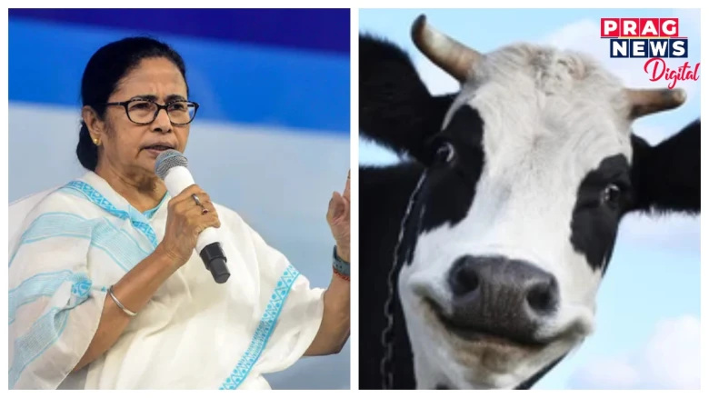 ''গৰুক সাৱটি ধৰিলে যদি গৰুটোৱে লাঠ মাৰি দিয়ে তেতিয়া কি হ’ব?’’- মমতা বেনাৰ্জী