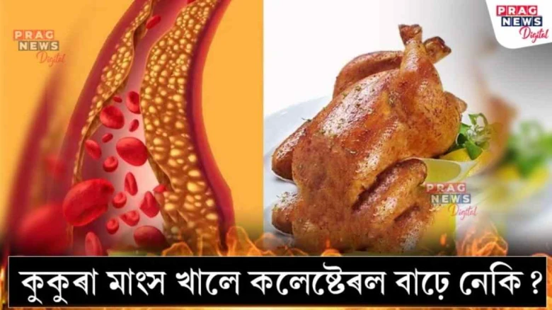 কুকুৰা মাংস খালে কলেষ্টেৰল বাঢ়ে নেকি? জানি লওক সত্য