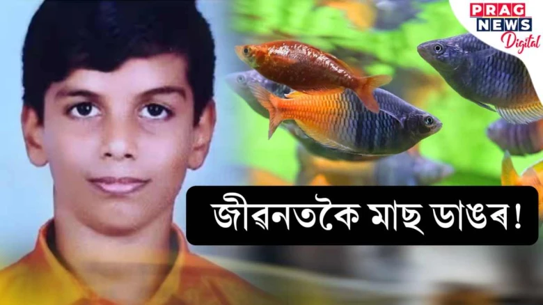 একুৰিয়ামৰ মাছৰ মৃত্যু! দুখ সহিব নোৱাৰি নিজৰ জীৱন শেষ কৰি দিলে ১৩ বছৰীয়া ৰোশনে