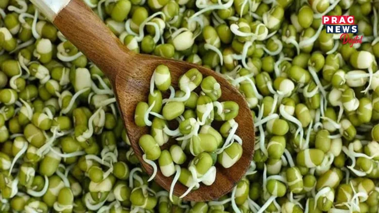 দৈনিক ব্ৰেকফাষ্টত সেৱন কৰক গজালি ওলোৱা মগু... স্বাস্থ্যজনিত এই ৭টা উপকাৰ লাভ কৰিব