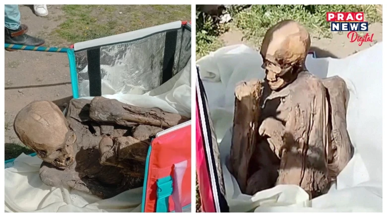 ফুড ডেলিভাৰি বেগত উদ্ধাৰ হ’ল এটা মামী! বেগটো কঢ়িয়াই নিয়া যুৱকজনে ক’লে- ''মামীটো মোৰ প্ৰেয়সী, একেলগে থাকো দুয়ো!’’ পঢ়ক
