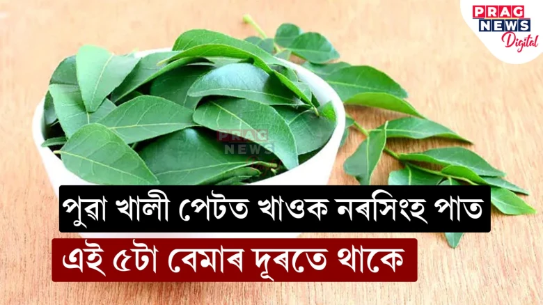 পুৱা খালী পেটত খাওক নৰসিংহ পাত,  এই ৫টা বেমাৰ দূৰতে থাকে…