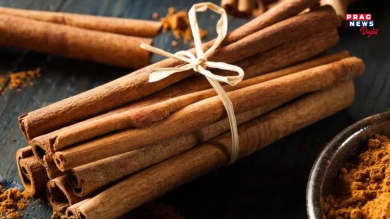 অত্যধিক দালচেনিৰ ব্যৱহাৰ বিপজ্জনক, জানক গৰম মছলা এদিনত কিমান খাব পাৰে