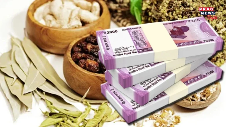 আয়ুৰ্বেদ চিকিৎসাৰ নামত প্ৰতাৰণা! পত্নীক কৰ্কট ৰোগৰ পৰা আৰোগ্য কৰিবলৈ গৈ হেৰুৱালে ১৫ লাখ টকা