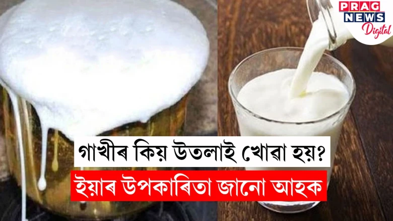 গাখীৰ কিয় উতলাই খোৱা হয়? ইয়াৰ উপকাৰিতা জানো আহক