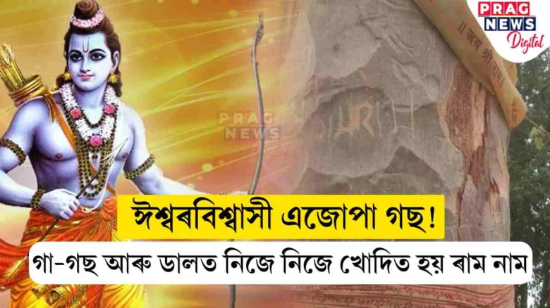 এজোপা অলৌকিক গছ! যাৰ গা-গছ আৰু ডালত নিজে নিজে খোদিত হয় ৰাম নাম
