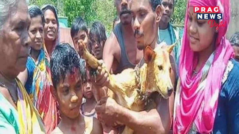 ডিজিটেল ইণ্ডিয়াৰ আন এক কাহিনীঃ অশুভ আত্মাৰ পৰা সুৰক্ষিত কৰি ৰাখিবলৈ কুকুৰৰ সৈতে বিয়া দিলে শিশুক!
