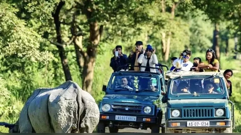 Assam: Elephant & Jeep Safari at Kaziranga to be closed for Tourists from May