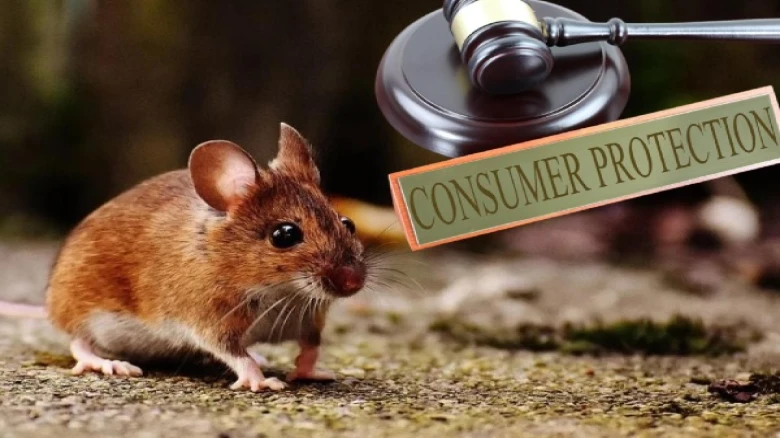 Consumer Court orders to compensate Rs 60k by Guwahati cinema hall to rat-bitten woman