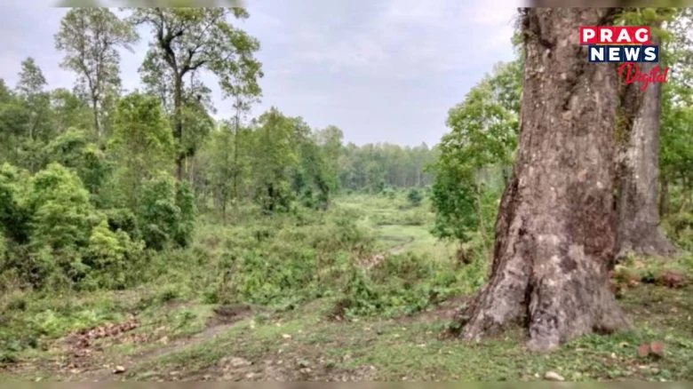 এখন গাঁৱত আছে মাত্ৰ তিনিটা পৰিয়াল আৰু এটা জাগ্ৰত গণেশ মন্দিৰ! জানক এই অলৌকিক কাহিনী