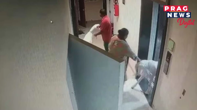 বকৰিদৰ আগত ঘৰলৈ লৈ আহিল ছাগলী, তাৰ পাছত প্ৰতিবেশীয়ে পাঠ কৰিলে হনুমান চলিছা