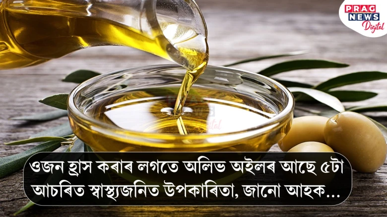 ওজন হ্ৰাস কৰাৰ লগতে অলিভ অইলৰ আছে ৫টা আচৰিত স্বাস্থ্যজনিত উপকাৰিতা, জানো আহক...
